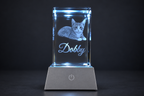 Custom Pet Portrait Crystal | 3D Laser-Engraved Memorial Keepsake with LED Light Base