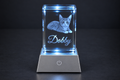 Custom Pet Portrait Crystal | 3D Laser-Engraved Memorial Keepsake with LED Light Base