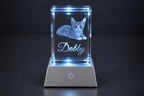 Custom Pet Portrait Crystal | 3D Laser-Engraved Memorial Keepsake with LED Light Base
