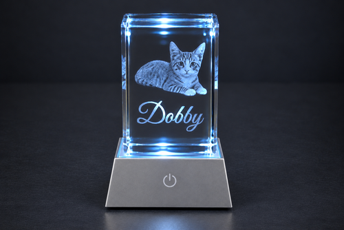 Custom Pet Portrait Crystal | 3D Laser-Engraved Memorial Keepsake with LED Light Base