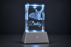 Custom Pet Portrait Crystal | 3D Laser-Engraved Memorial Keepsake with LED Light Base