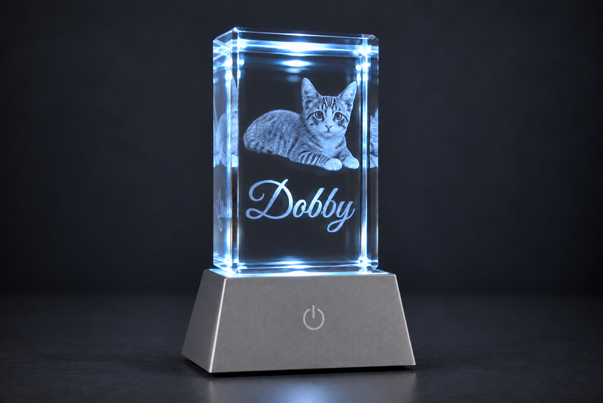 Custom Pet Portrait Crystal | 3D Laser-Engraved Memorial Keepsake with LED Light Base