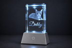 Custom Pet Portrait Crystal | 3D Laser-Engraved Memorial Keepsake with LED Light Base